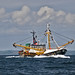 William Stevenson Photo 40
