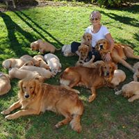 Suzanne Sylvester Photo 11