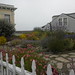 Cathryn Martin Photo 12