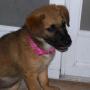 Ginger Roberson Photo 15