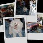 Lynda Eddy Photo 3