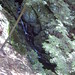 Glen Stevens Photo 15