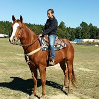 Jodi Howell Photo 16