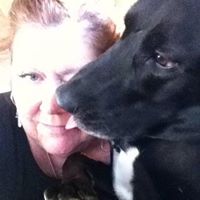 Ann Trimble Photo 19