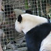 Lisa Bryant Photo 11