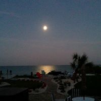 Nancy Hutchins Photo 27
