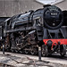 David Sheppard Photo 46