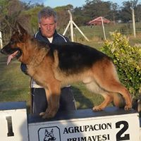 Ricardo Espinosa Photo 31