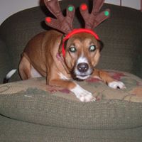 Michelle Brinkman Photo 17