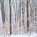 Jerry Beech Photo 17