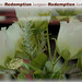Ruth Ransom Photo 5