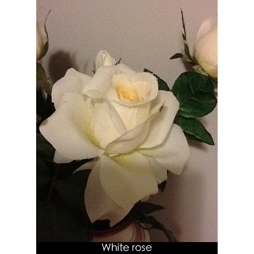 Anna West Photo 40