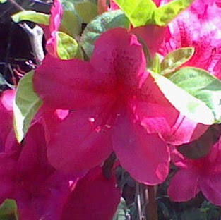 Lillian Bruce Photo 15