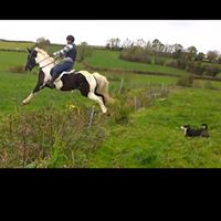Terrie Watson Photo 8