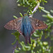 Linda Long Photo 42