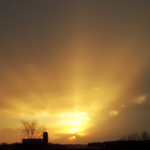 Joann Peters Photo 1
