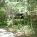 Dianne Ross Photo 34