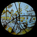 Rachel Jacobs Photo 22