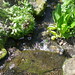 Gerald Lord Photo 15