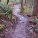 David Talbert Photo 38