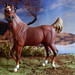 Sarah Wellman Photo 15