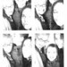 Rachel Scruggs Photo 8