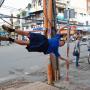 Brian Dinh Photo 4