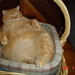 Maureen Colby Photo 4