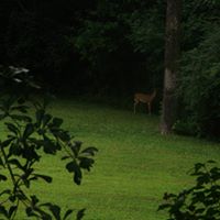 Joe Conley Photo 9