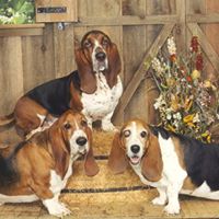 Cynthia Grove Photo 19