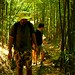 Jeremy Forest Photo 17