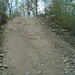 David Krueger Photo 19