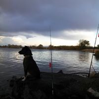 Carl Olson Photo 5