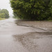 Roy Pickering Photo 16