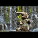 Walt Robbins Photo 9
