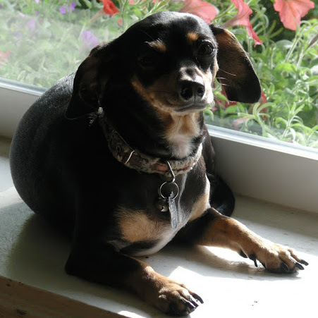 Jackie Wilkinson Photo 32
