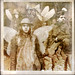 Ned Armstrong Photo 17