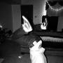 Stephen Morris Photo 47