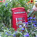 Frederick Flowers Photo 4