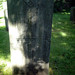 James Newell Photo 22
