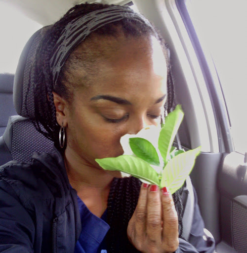 Kia Brown Photo 3