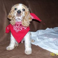 Carol Hixson Photo 6