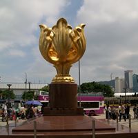 Jie Chin Photo 4