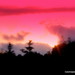 Michelle Berens Photo 25
