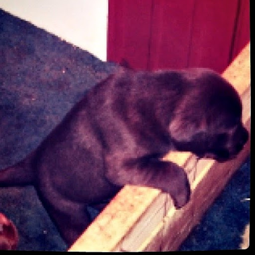 Roxanne Friend Photo 9