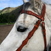 Glen Nelson Photo 31