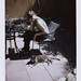 Dana Simons Photo 26