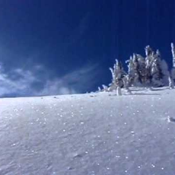Warren Gage Photo 4