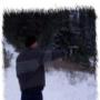 James Kirkland Photo 9