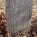James Conn Photo 33